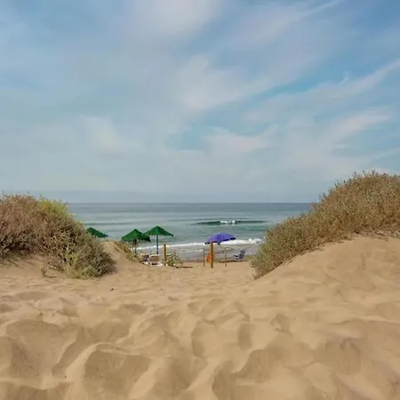 Appartement In Beachfront With Pool *